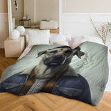 Anatolian Shepherd A Items