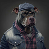 Pit Bull C Items